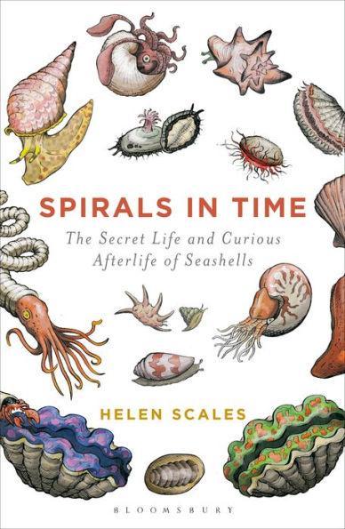 Spirals in Time: The Secret Life and Curious Afterlife of Seashells - Paperback | Diverse Reads