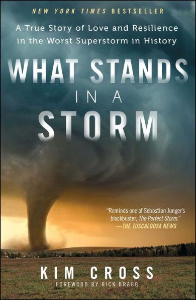What Stands in a Storm: A True Story of Love and Resilience in the Worst Superstorm in History - Paperback | Diverse Reads