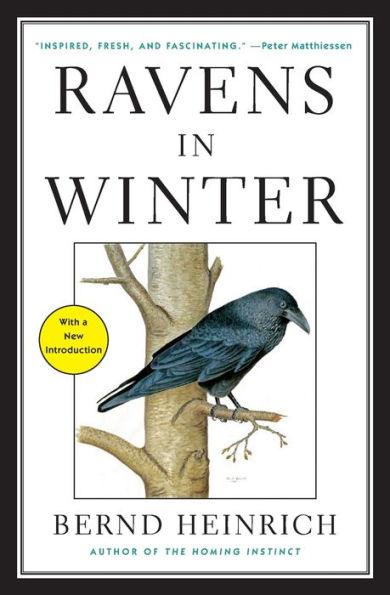 Ravens in Winter - Paperback | Diverse Reads