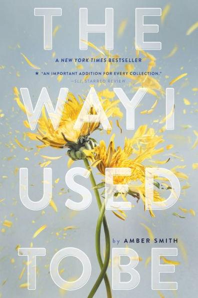 The Way I Used to Be - Paperback | Diverse Reads