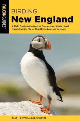 Birding New England: A Field Guide to the Birds of Connecticut, Rhode Island, Massachusetts, Maine, New Hampshire, and Vermont - Paperback | Diverse Reads