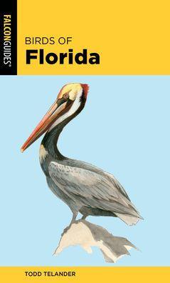 Birds of Florida - Paperback | Diverse Reads