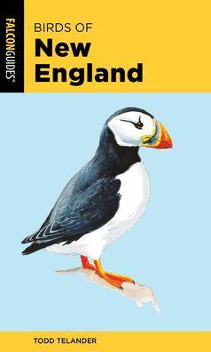 Birds of New England - Paperback | Diverse Reads