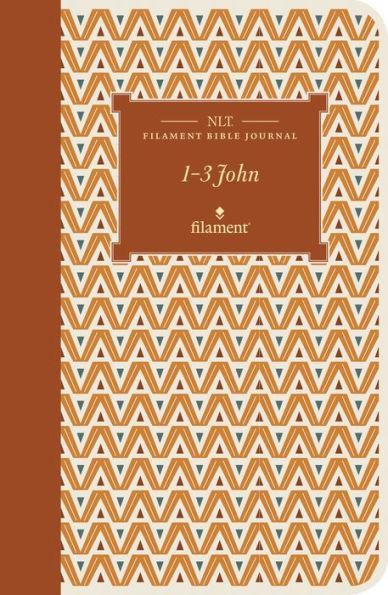 NLT Filament Bible Journal: 1--3 John (Softcover) - Paperback | Diverse Reads