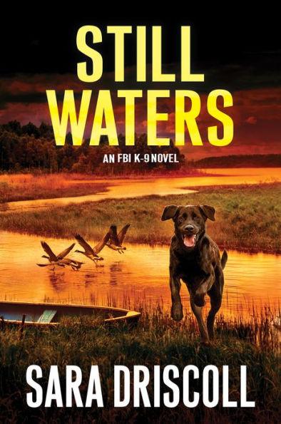 Still Waters: A Riveting Novel of Suspense - Hardcover | Diverse Reads