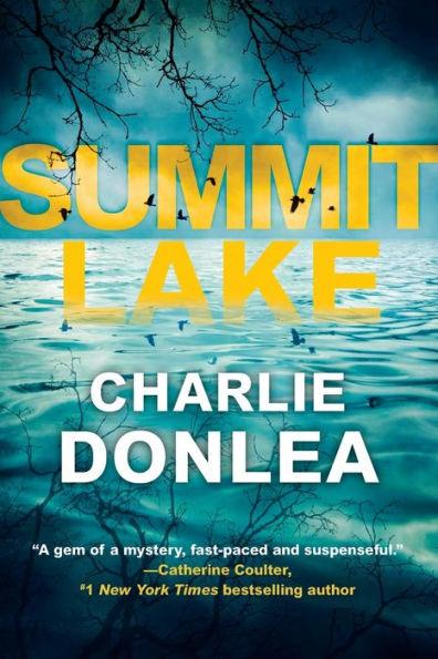 Summit Lake - Paperback | Diverse Reads