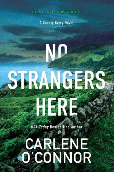 No Strangers Here: A Riveting Dark Irish Mystery - Paperback | Diverse Reads