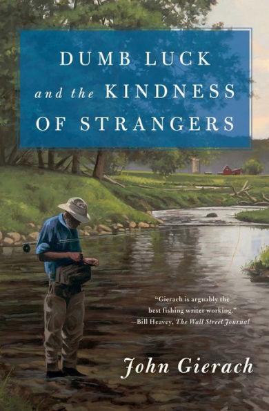 Dumb Luck and the Kindness of Strangers - Paperback | Diverse Reads