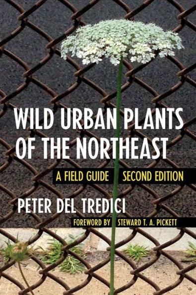 Wild Urban Plants of the Northeast: A Field Guide - Paperback | Diverse Reads