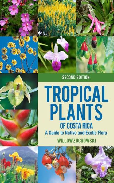 Tropical Plants of Costa Rica: A Guide to Native and Exotic Flora - Paperback | Diverse Reads