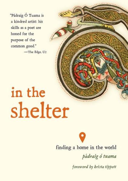 In the Shelter: Finding a Home in the World - Paperback | Diverse Reads