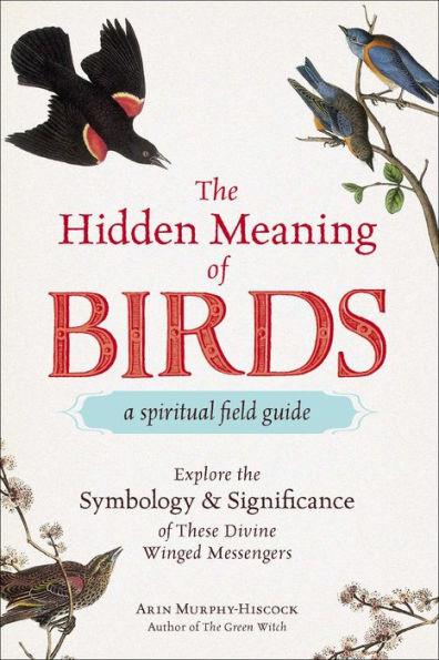 The Hidden Meaning of Birds--A Spiritual Field Guide: Explore the Symbology and Significance of These Divine Winged Messengers - Paperback | Diverse Reads