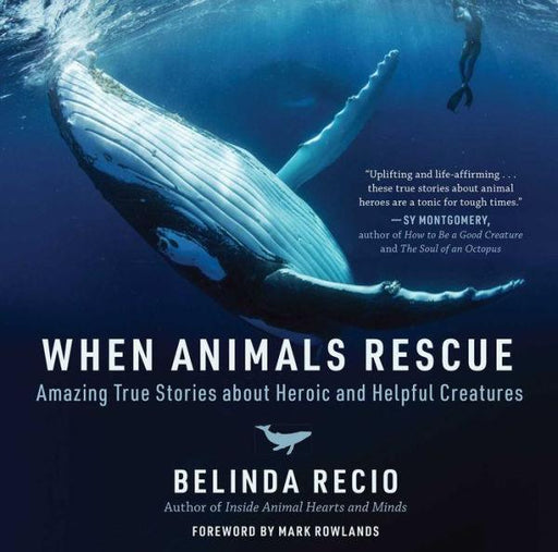 When Animals Rescue: Amazing True Stories about Heroic and Helpful Creatures - Hardcover | Diverse Reads