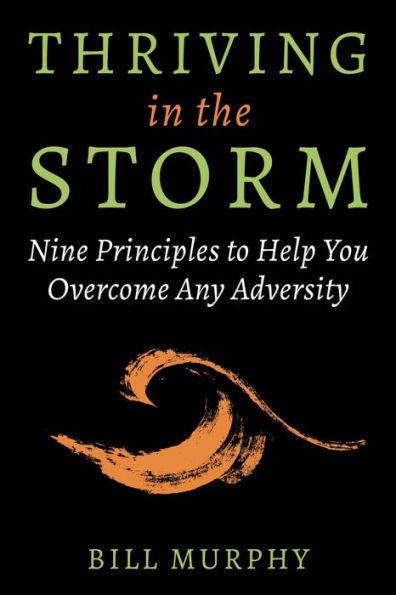 Thriving in the Storm: 9 Principles to Help You Overcome Any Adversity - Hardcover | Diverse Reads
