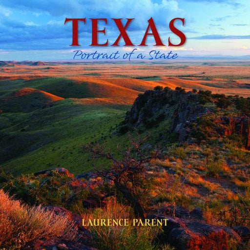 Texas: Portrait of a State - Paperback | Diverse Reads