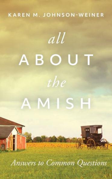 All about the Amish: Answers to Common Questions - Paperback | Diverse Reads