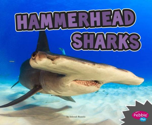 Hammerhead Sharks - Paperback | Diverse Reads