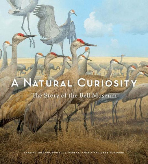 A Natural Curiosity: The Story of the Bell Museum - Hardcover | Diverse Reads