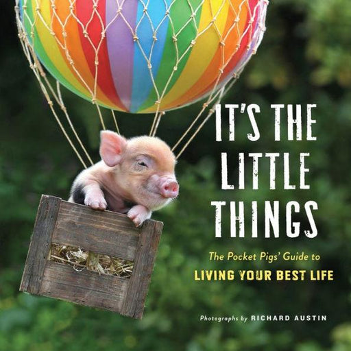 It's the Little Things: The Pocket Pigs' Guide to Living Your Best Life (Inspiration Book, Gift Book, Life Lessons, Mini Pigs) - Hardcover | Diverse Reads