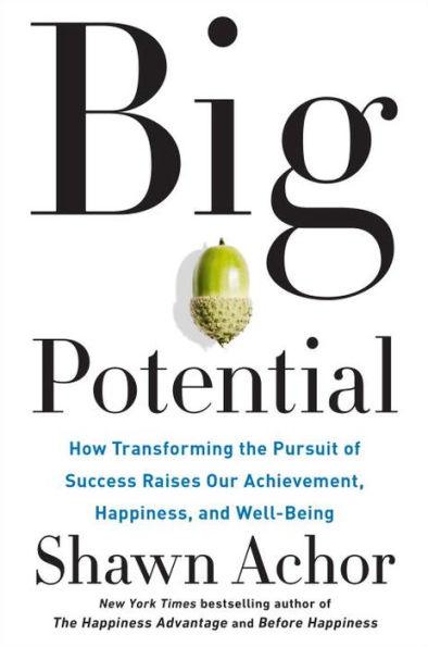Big Potential: How Transforming the Pursuit of Success Raises Our Achievement, Happiness, and Well-Being - Hardcover | Diverse Reads