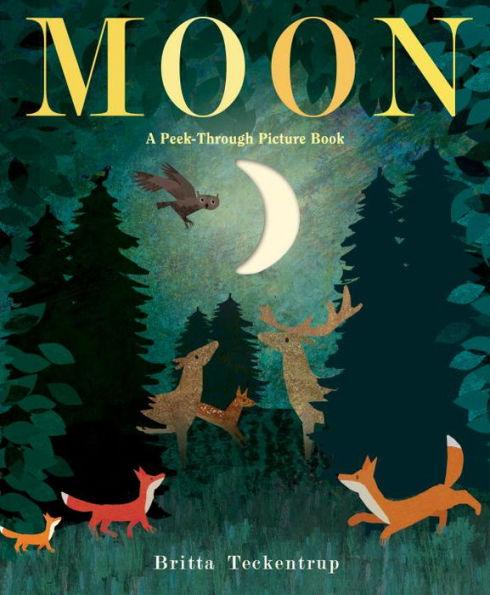 Moon: A Peek-Through Picture Book - Hardcover | Diverse Reads