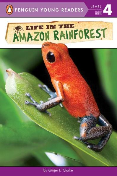 Life in the Amazon Rainforest - Paperback | Diverse Reads