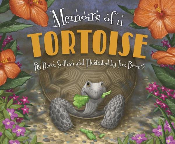 Memoirs of a Tortoise - Hardcover | Diverse Reads