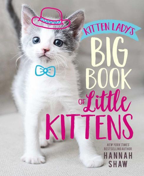 Kitten Lady's Big Book of Little Kittens - Hardcover | Diverse Reads