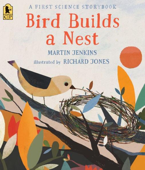 Bird Builds a Nest: A First Science Storybook - Paperback | Diverse Reads