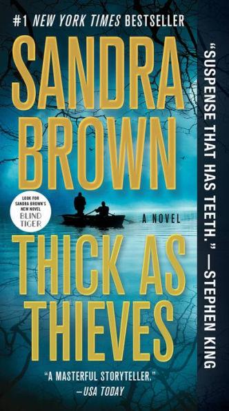 Thick as Thieves - Paperback | Diverse Reads