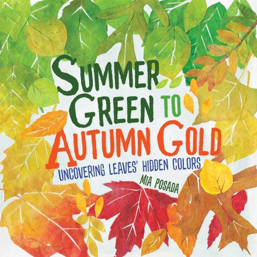 Summer Green to Autumn Gold: Uncovering Leaves' Hidden Colors - Hardcover | Diverse Reads