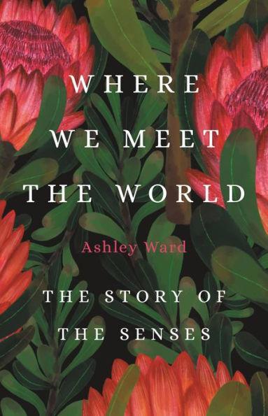 Where We Meet the World: The Story of the Senses - Hardcover | Diverse Reads
