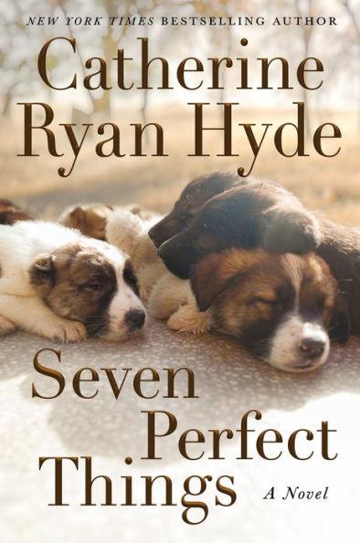 Seven Perfect Things: A Novel - Paperback | Diverse Reads