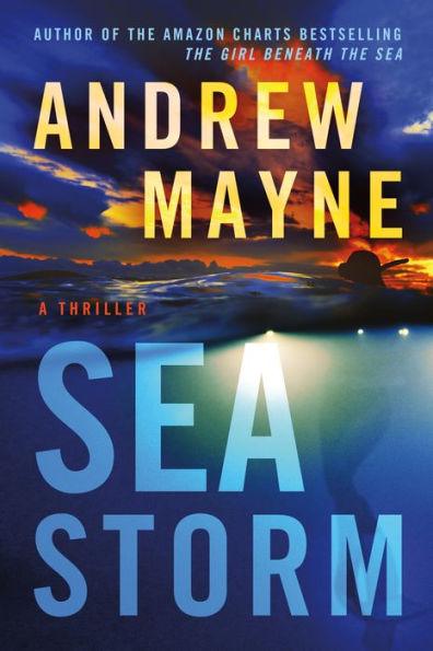 Sea Storm: A Thriller - Paperback | Diverse Reads
