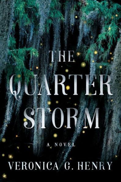 The Quarter Storm: A Novel - Paperback | Diverse Reads