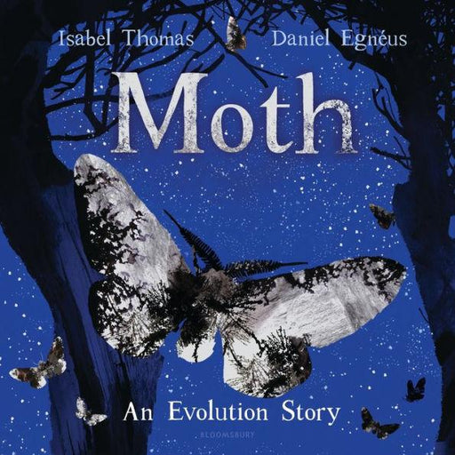 Moth: An Evolution Story - Hardcover | Diverse Reads