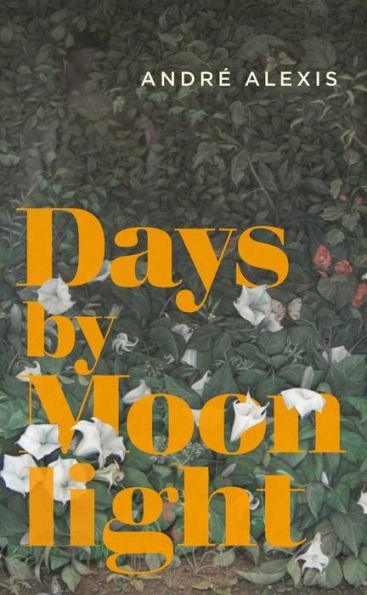 Days by Moonlight - Paperback | Diverse Reads