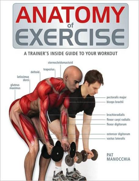 Anatomy of Exercise: A Trainer's Inside Guide to Your Workout - Paperback | Diverse Reads