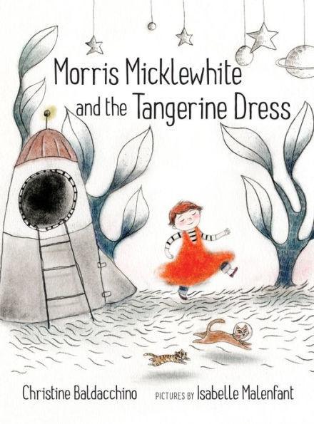 Morris Micklewhite and the Tangerine Dress - Diverse Reads