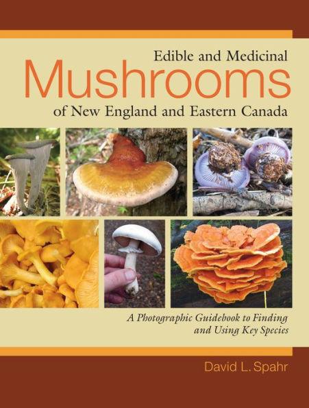 Edible and Medicinal Mushrooms of New England and Eastern Canada: A Photographic Guidebook to Finding and Using Key Species - Paperback | Diverse Reads