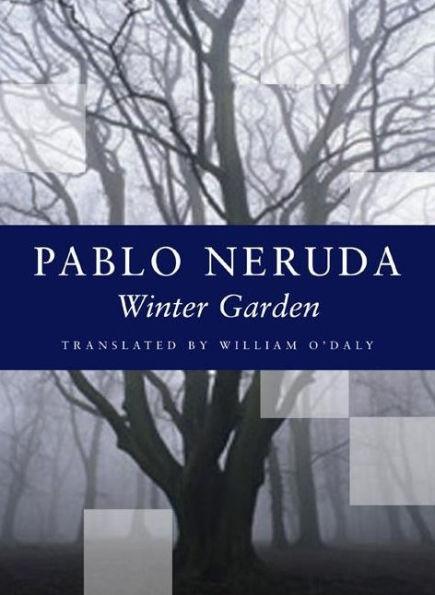 Winter Garden - Paperback | Diverse Reads