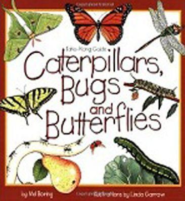 Caterpillars, Bugs and Butterflies - Paperback | Diverse Reads