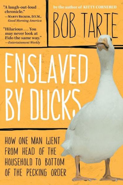 Enslaved by Ducks - Paperback | Diverse Reads