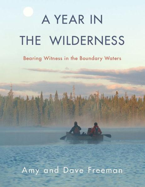 A Year in the Wilderness: Bearing Witness in the Boundary Waters - Paperback | Diverse Reads