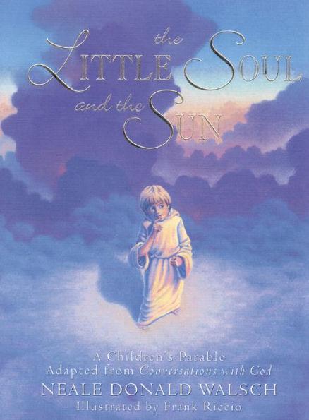 The Little Soul and the Sun: A Children's Parable - Hardcover | Diverse Reads