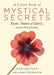 A Little Book of Mystical Secrets: Rumi, Shams of Tabriz, and the Path of Ecstasy - Paperback | Diverse Reads