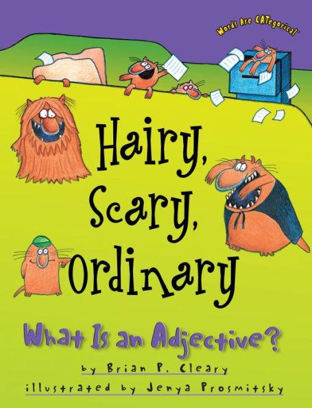 Hairy, Scary, Ordinary: What Is an Adjective? - Paperback | Diverse Reads