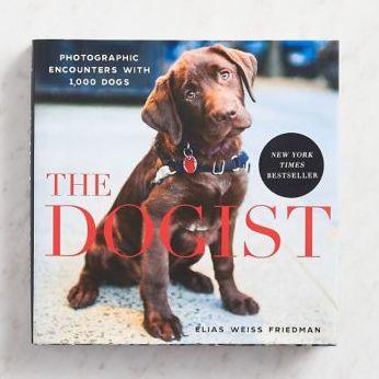 The Dogist: Photographic Encounters with 1,000 Dogs - Hardcover | Diverse Reads