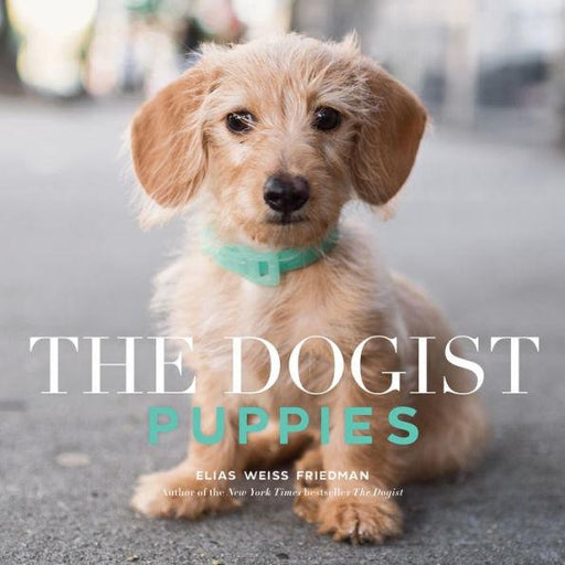 The Dogist Puppies - Paperback | Diverse Reads