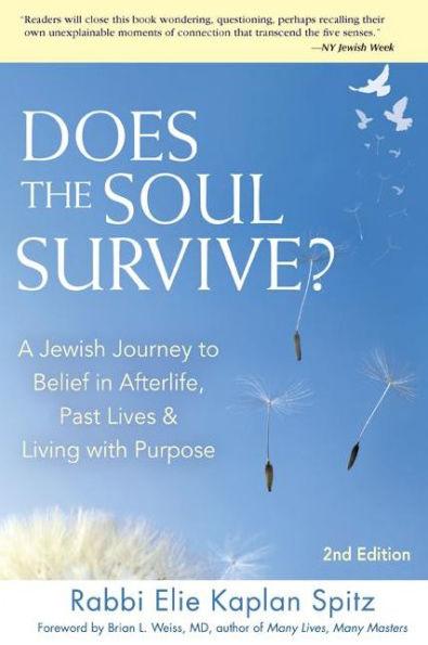Does the Soul Survive? (2nd Edition): A Jewish Journey to Belief in Afterlife, Past Lives & Living with Purpose - Paperback | Diverse Reads